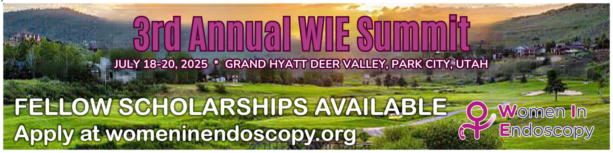 WIE Fellow Scholarship